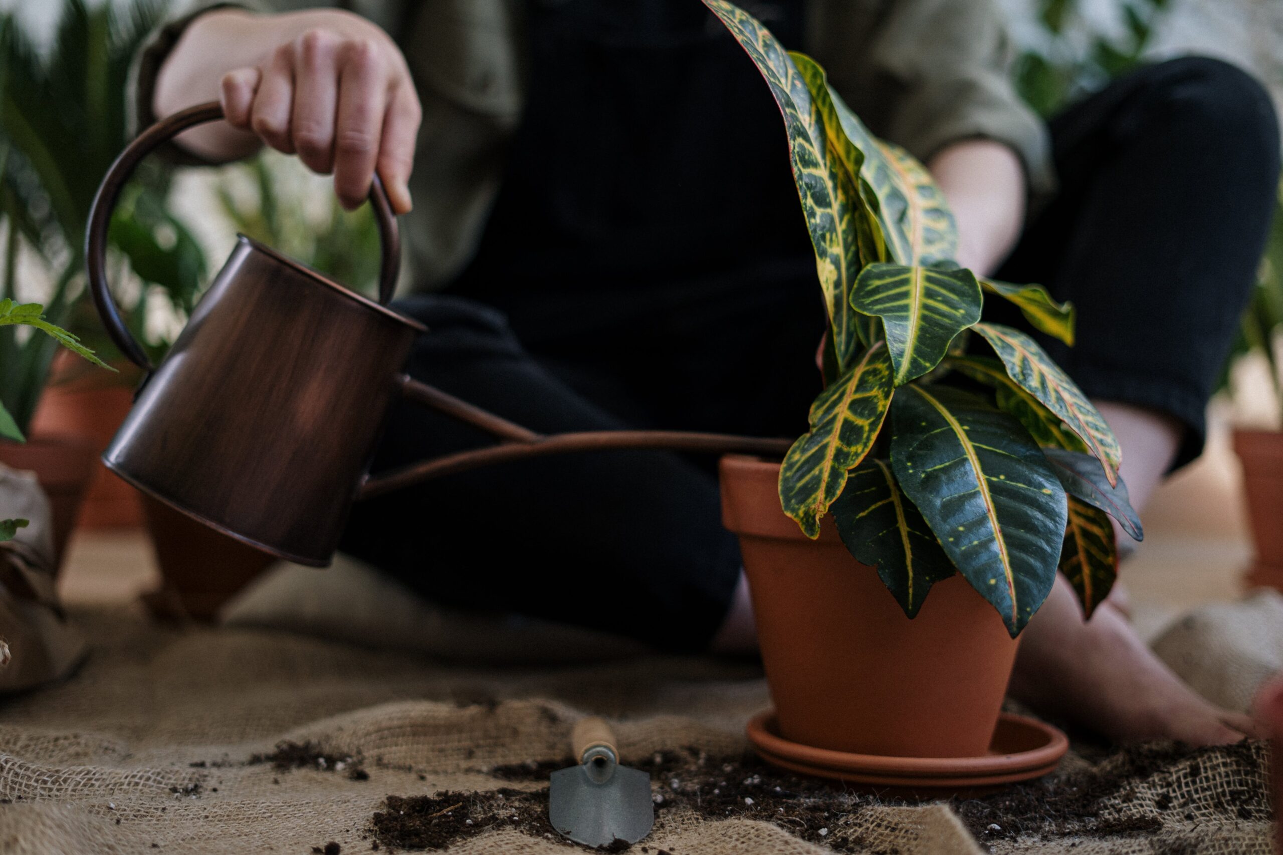 Fabriquer un Système d’Arrosage Automatique Écologique pour le Jardin