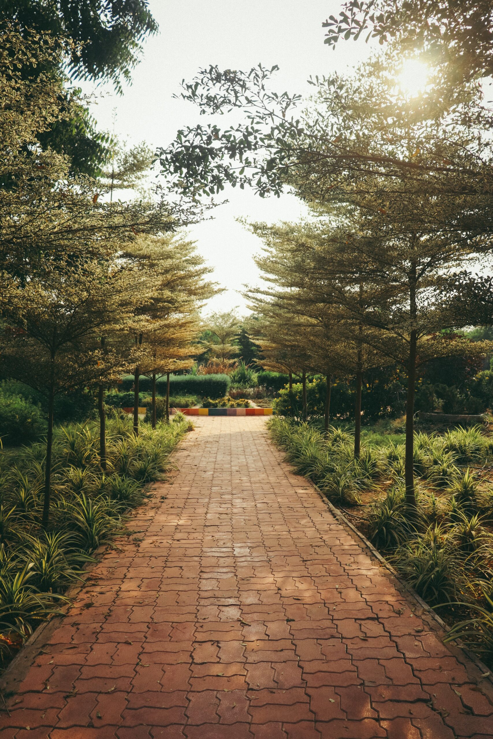 Les Principes de Base pour Concevoir un Jardin Harmonieux