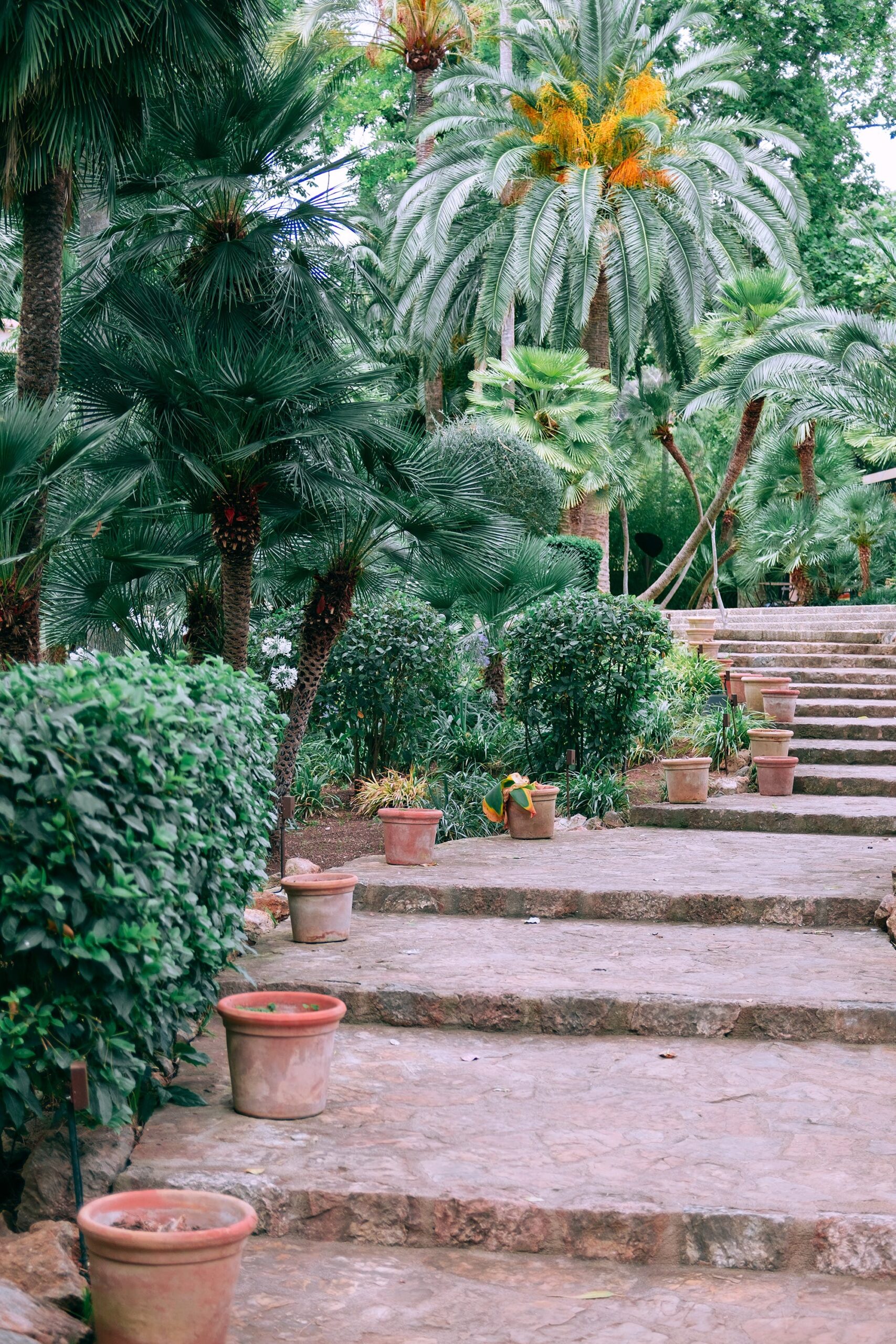 Comment Créer un Jardin Méditerranéen dans un Climat Différent