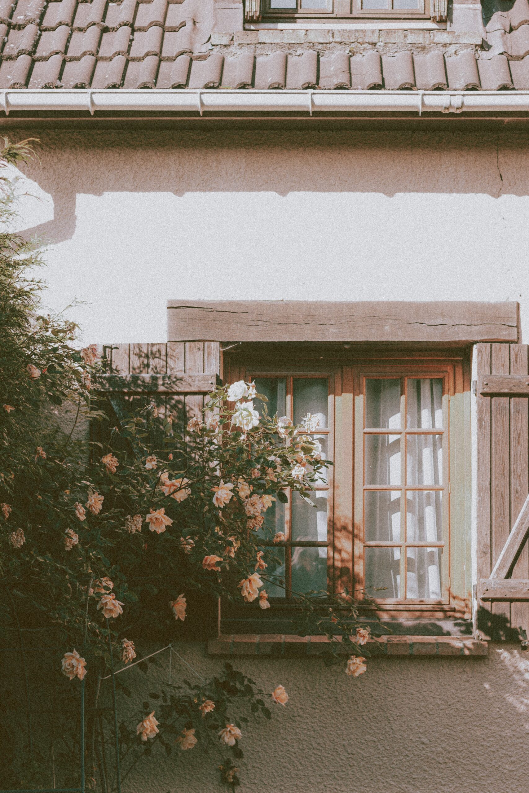Le Guide Complet pour un Entretien de Jardin Facile et Efficace