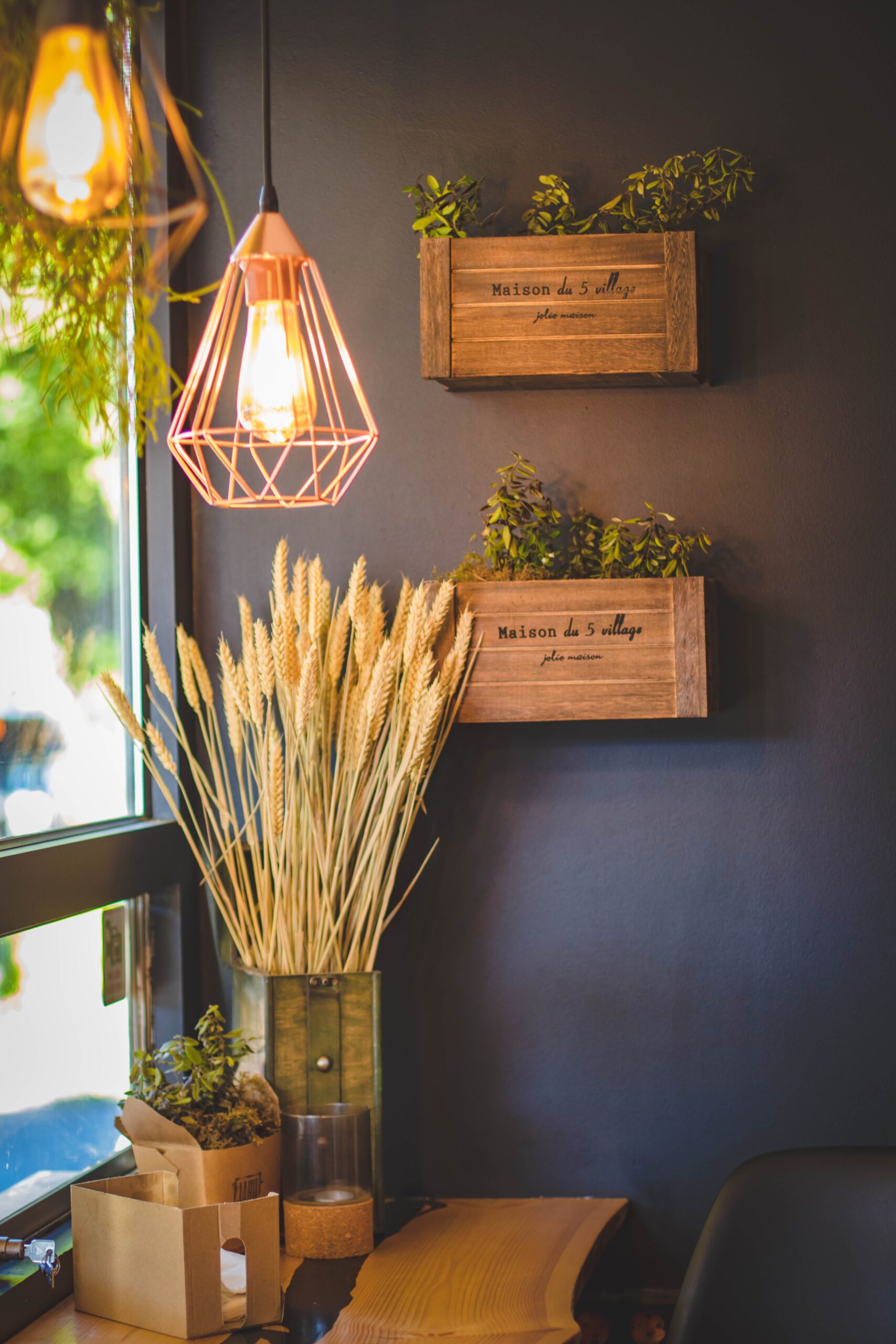 Utiliser des Plantes en Pot pour Ajouter de la Couleur à Votre Patio