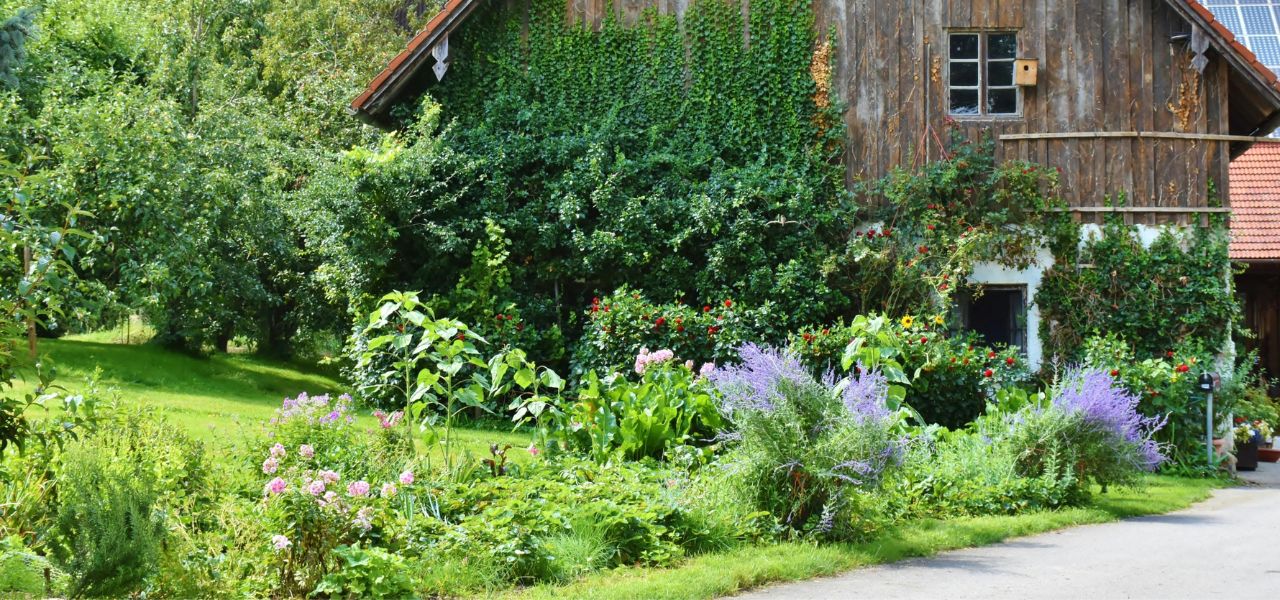Travaux d’Aménagement Extérieur à Flers : Donnez Vie à Votre Jardin