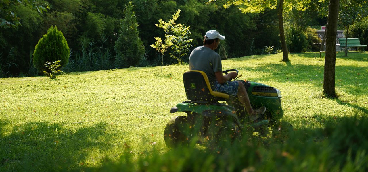Travaux de Jardinage dans les Vosges : Guide Complet pour un Espace Vert Sublime